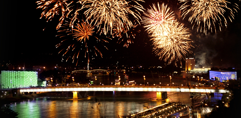 Sag' NEIN zur Silvesterknallerei!