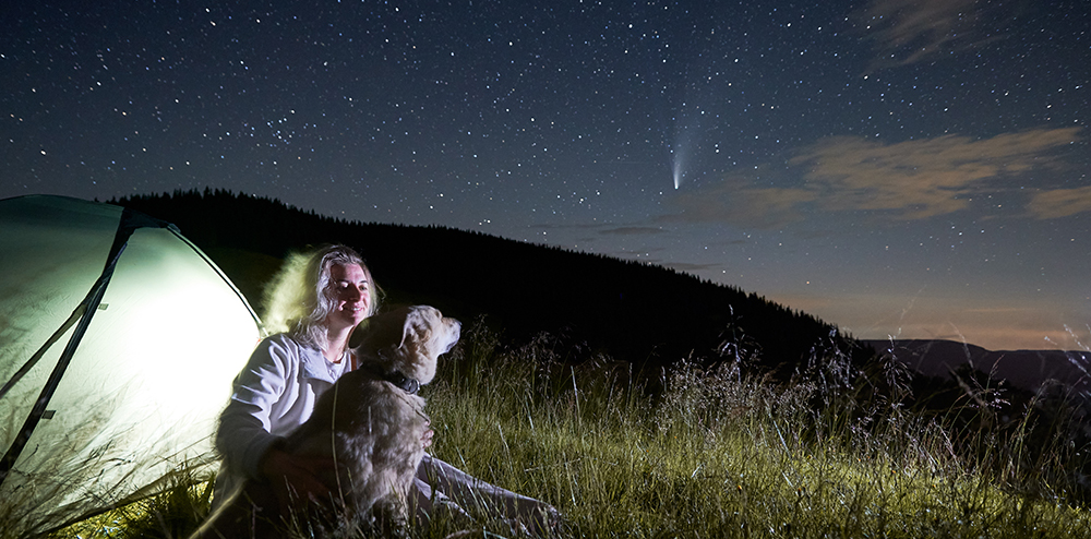 Young woman in the mountains observing beautiful starry night and a comet, sitting with her dog next to illuminated tent at campsite. Copy space. Concept of astrophotography