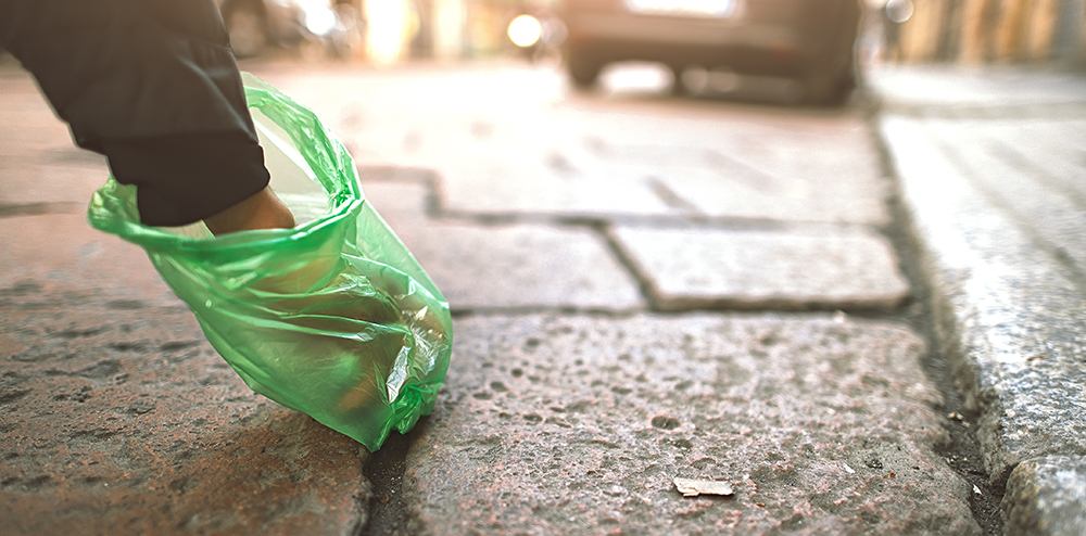 Person collects with bag of dog droppings in the city.