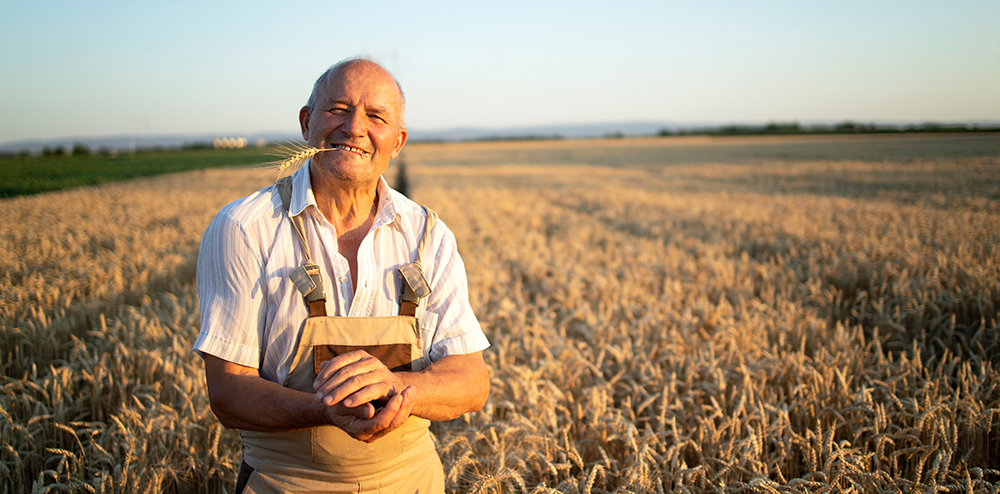 Portrait of successful senior farmer agronomist standing in wheat field.