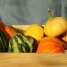 harvest decorative pumpkins in a wooden box. a gardener in an apron harvests ornamental pumpkins in the autumn garden. small business, startup on a farm